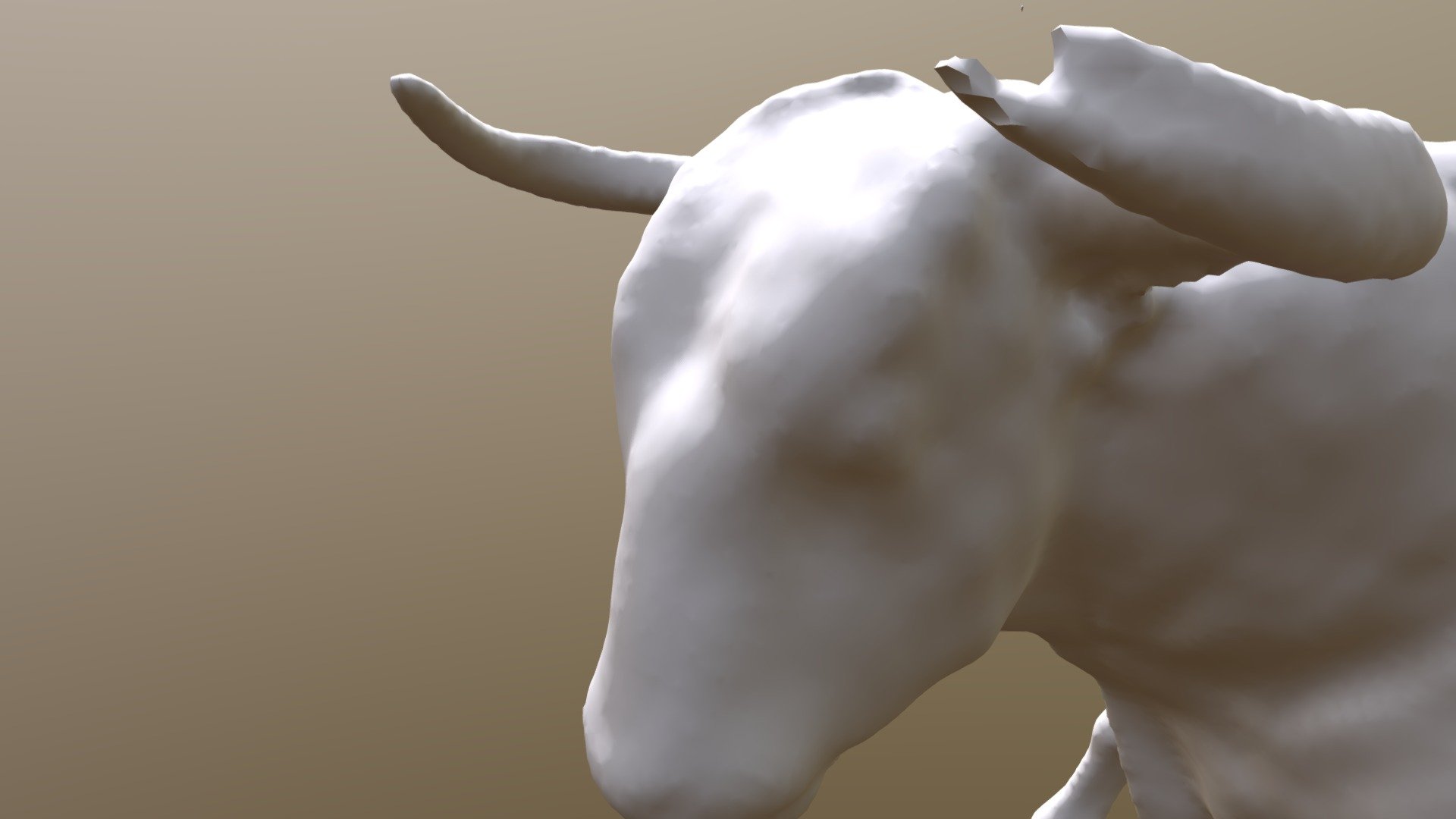 taurus