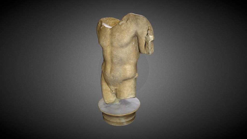 Torso - 3D model by hadassahphoto [e4db0c5] - Sketchfab