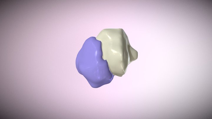 TwoTumors 3D Model