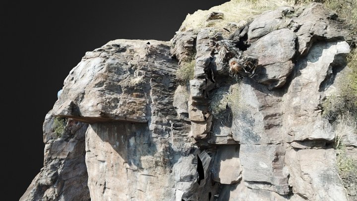 P Ared Trapenses Files 3D Model