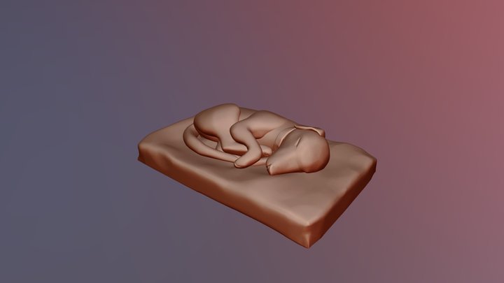 Sleeping Fancy 3D Model