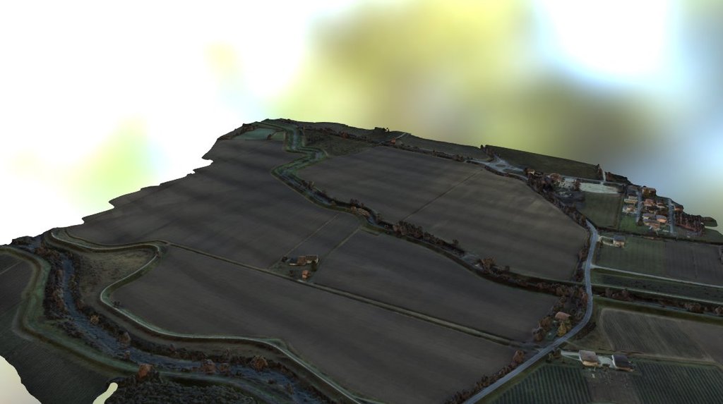 Fontanelle Simplified 3d Mesh