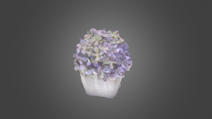 Piantina 3D Model