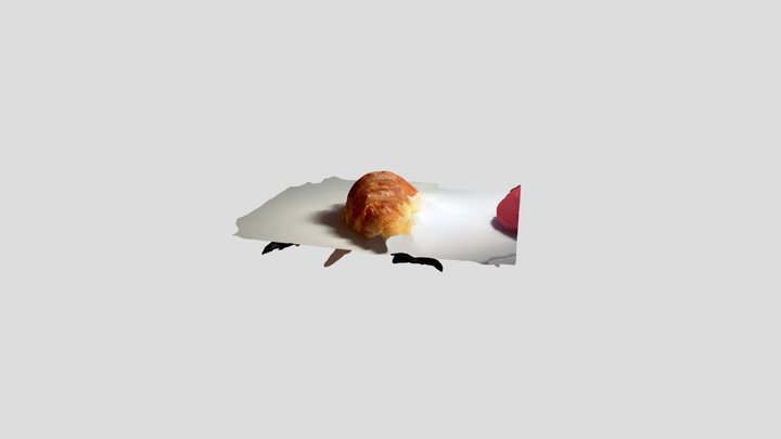 first attempt croissant 3D Model