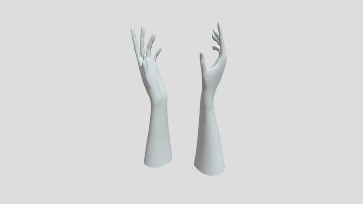 nhty 3D Model