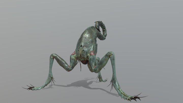 Scorpion Rat 3D Model