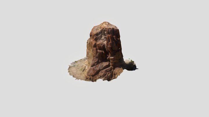 Fossil_2_vasiliki
