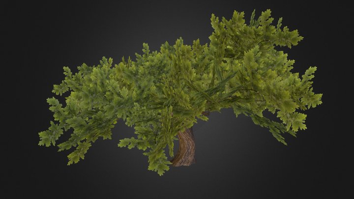 Tree 3D Model