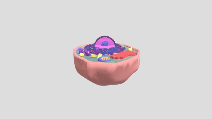 Animal Cell 2 3D Model