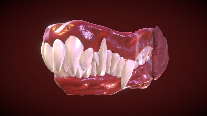 Dragon Teeth-Mouth 3D Model