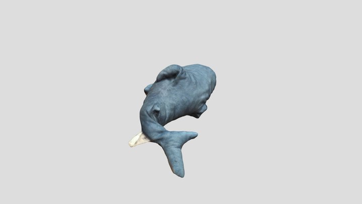 Nov 5, 2023 3D Model