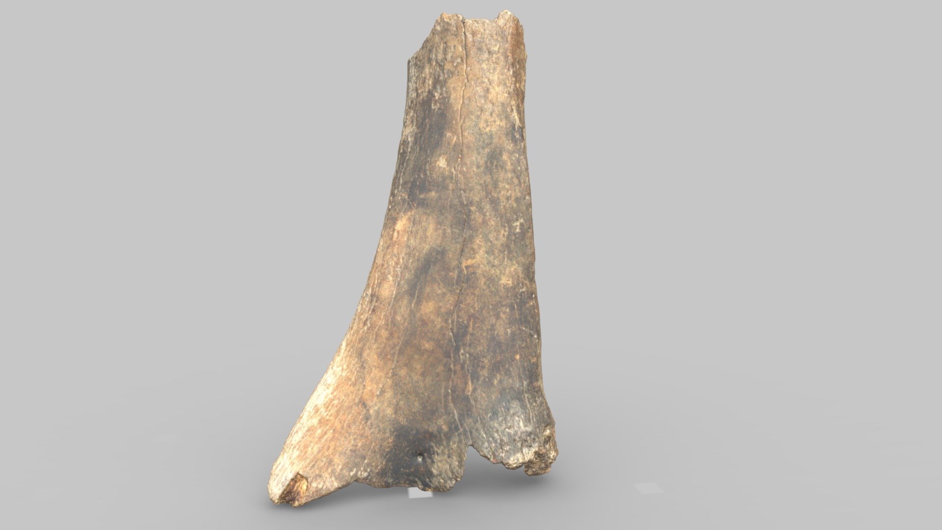 Howery Collection Bone Carving 3D model by Advanced Visualization