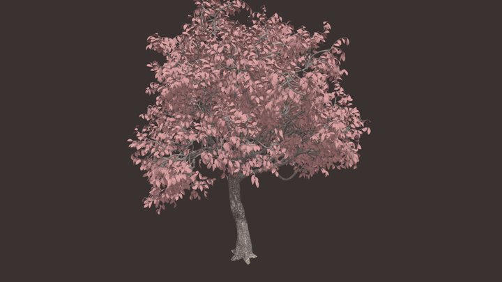 Pink Tree 3D Model