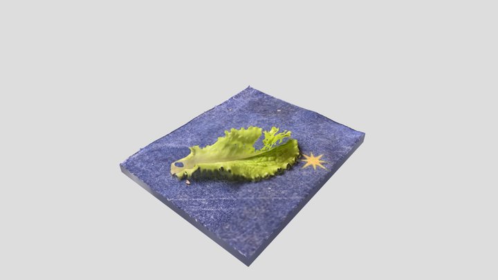 Salat