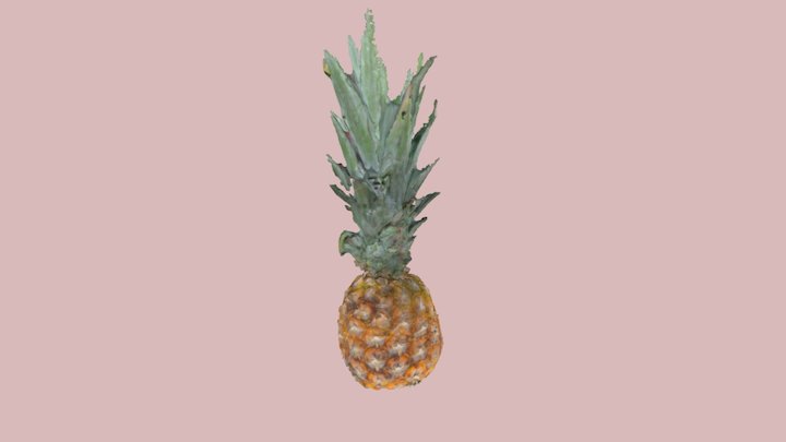 Pineapple 3D Model