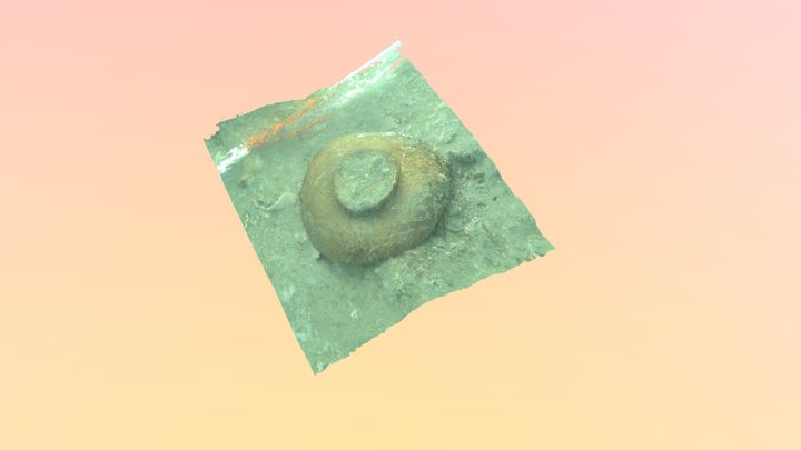 Wooden bowl from ropotamo excavation 3D Model
