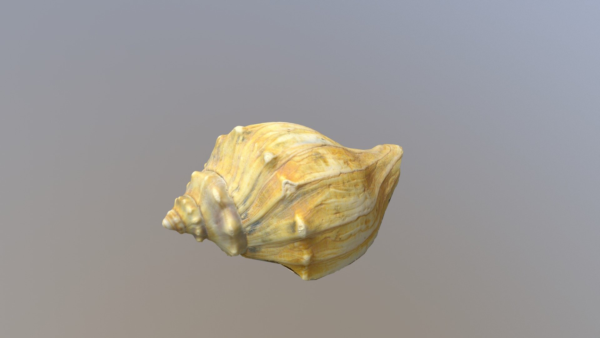 My jaw-dropping 3D asset