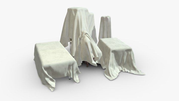 Covered Furniture in Storage 3D Model