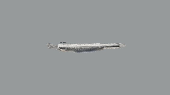 Scaniverse Model 3D Model