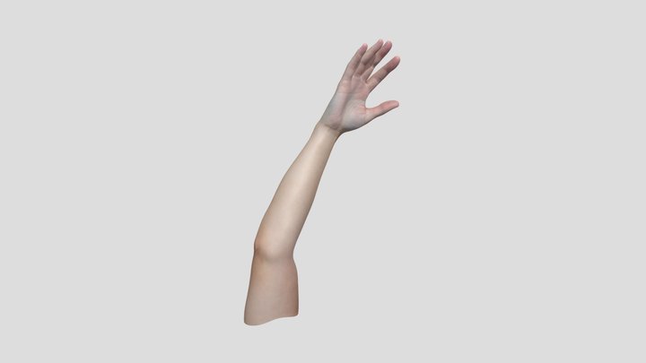 Female Realistic Hand 3D Model