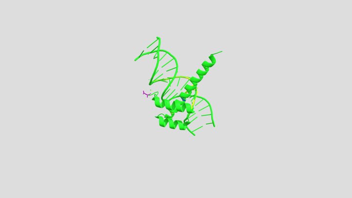 The transcription factor CDX2 3D Model