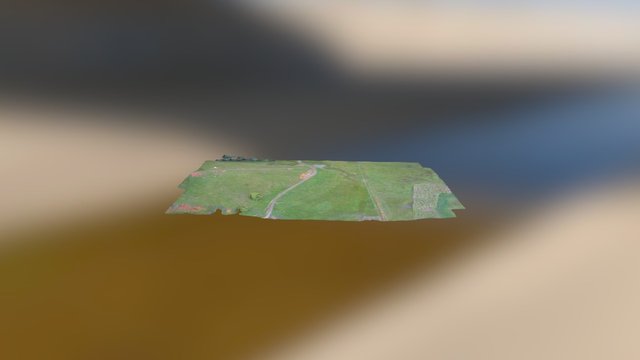 NOAR Hight Quality 3D Model