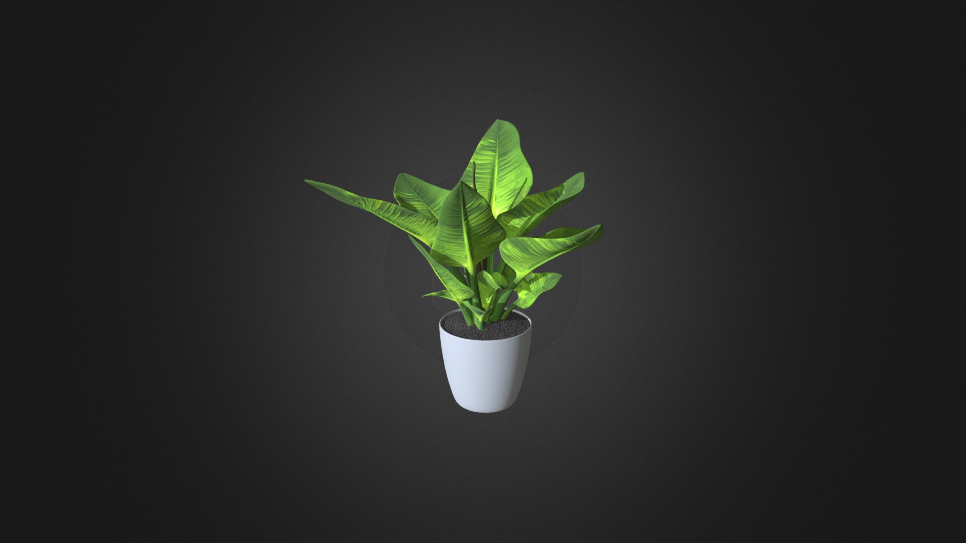 3D model Convexshapes Potted Plant 11 - This is a 3D model of the Convexshapes Potted Plant 11. The 3D model is about a plant in a pot.