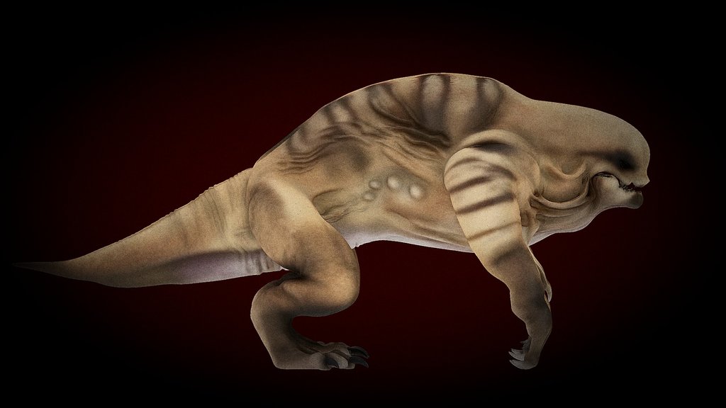 DISTORTUS REX  -  VARIANT 2