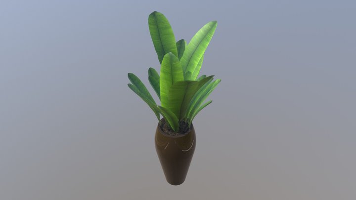 1 3D Model