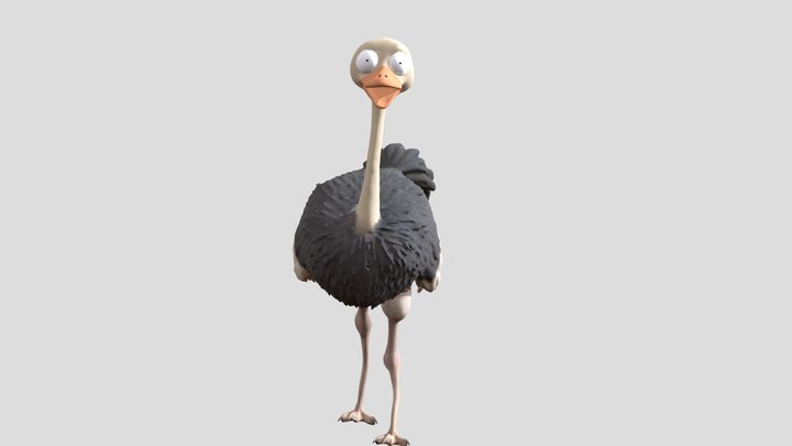 Ostrich Walk Animation
