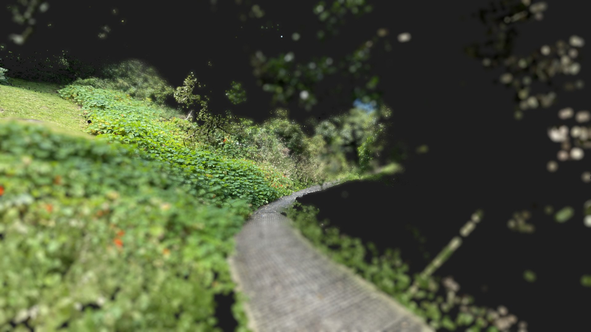 Roseneath Path [COLMAP] — Sketchfab embed 3D viewer