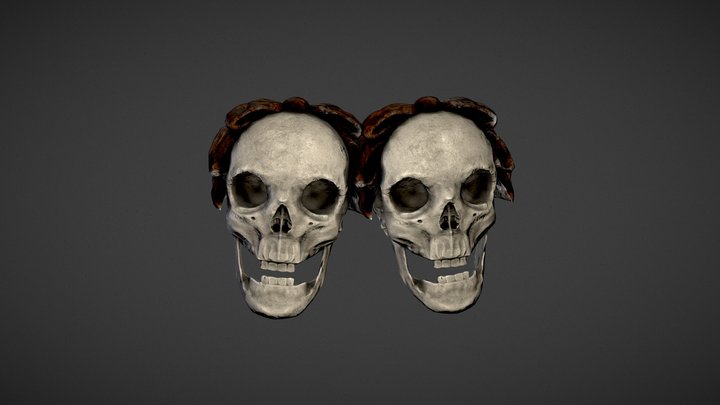 Just the skull of a twin sister 3D Model