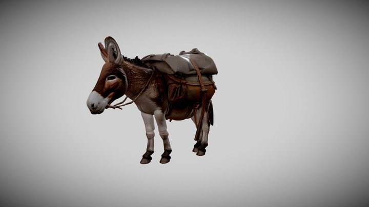 DONKEY 12 3D Model