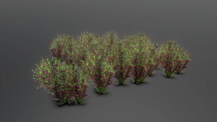 Plant Shrub – Free 3D Model STL