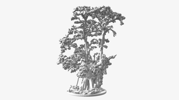 Big Cypress 3D Print 3D Model