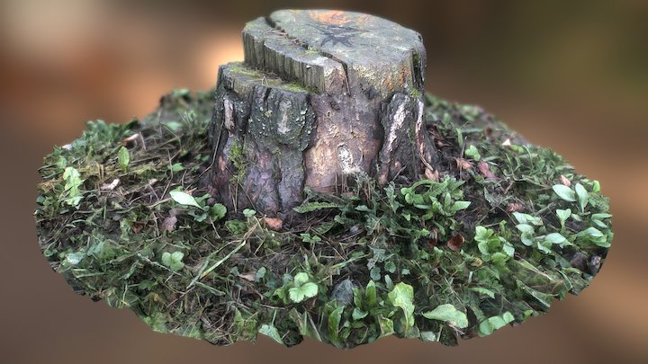 Stump from the forest at the dam – Modèle 3D gratuit STL