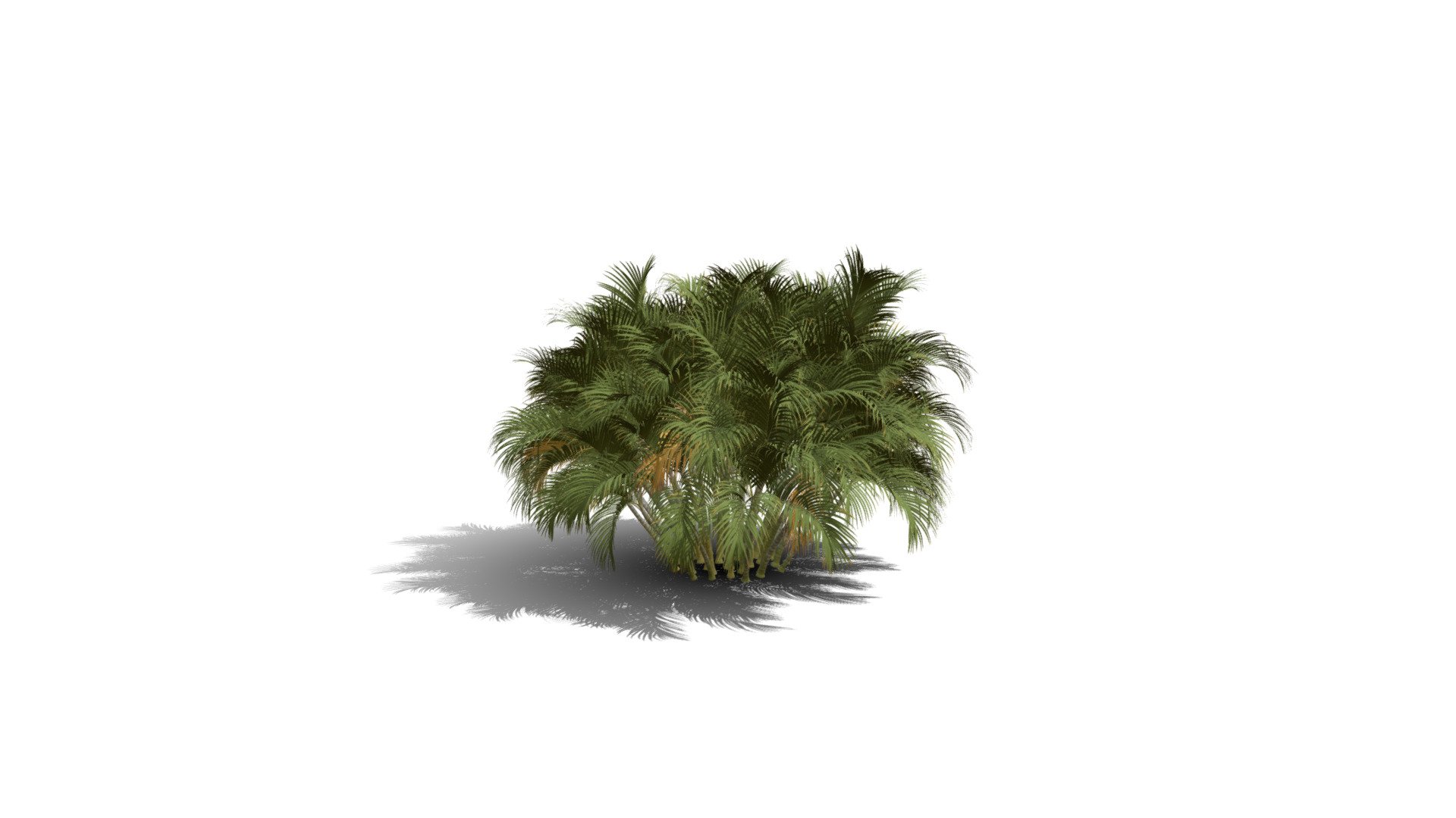Realistic HD Butterfly palm (42/62) — Sketchfab embed 3D viewer
