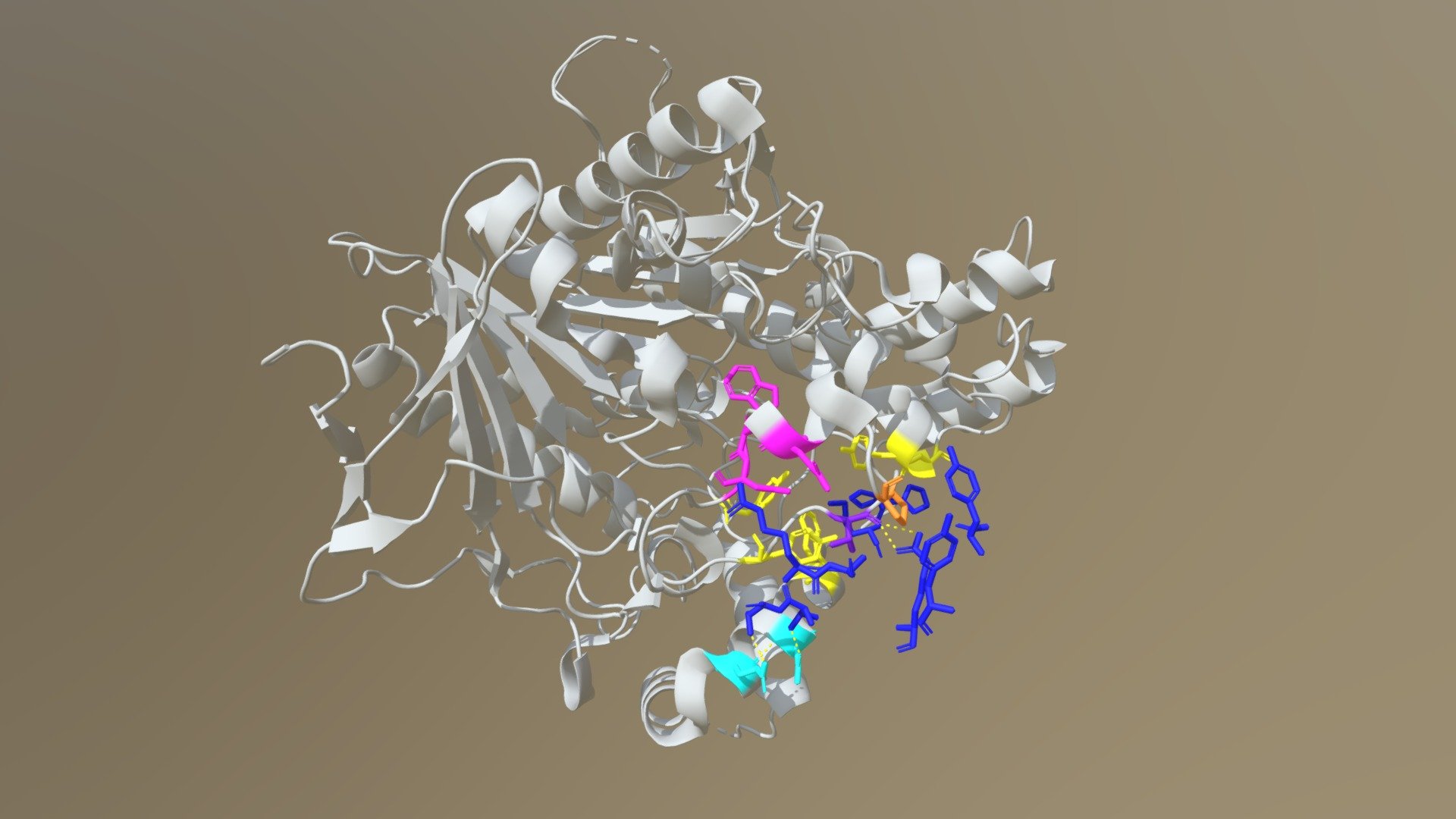 Protein Drug Interaction Draft