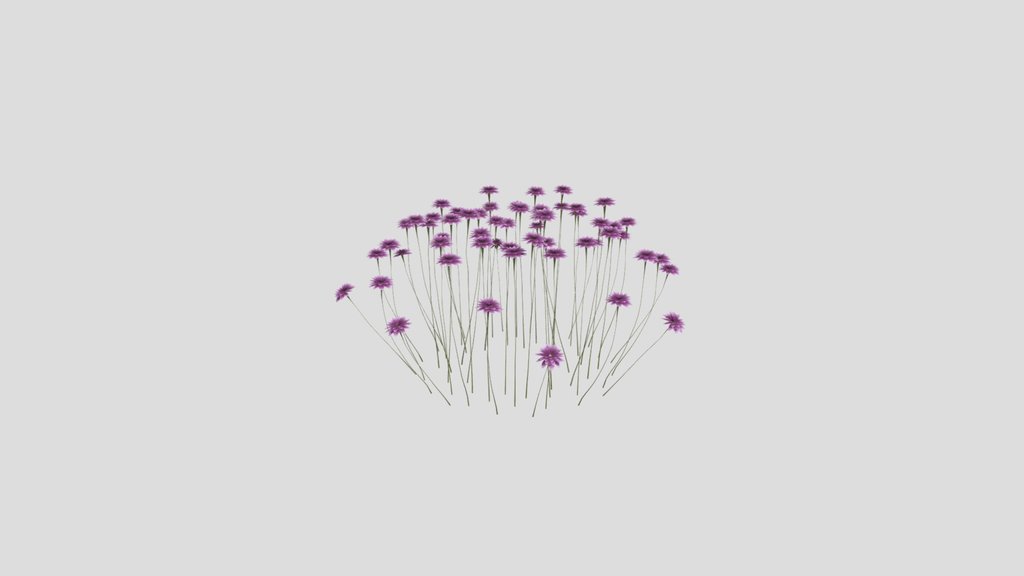 Sj Tranquil Garden Accent