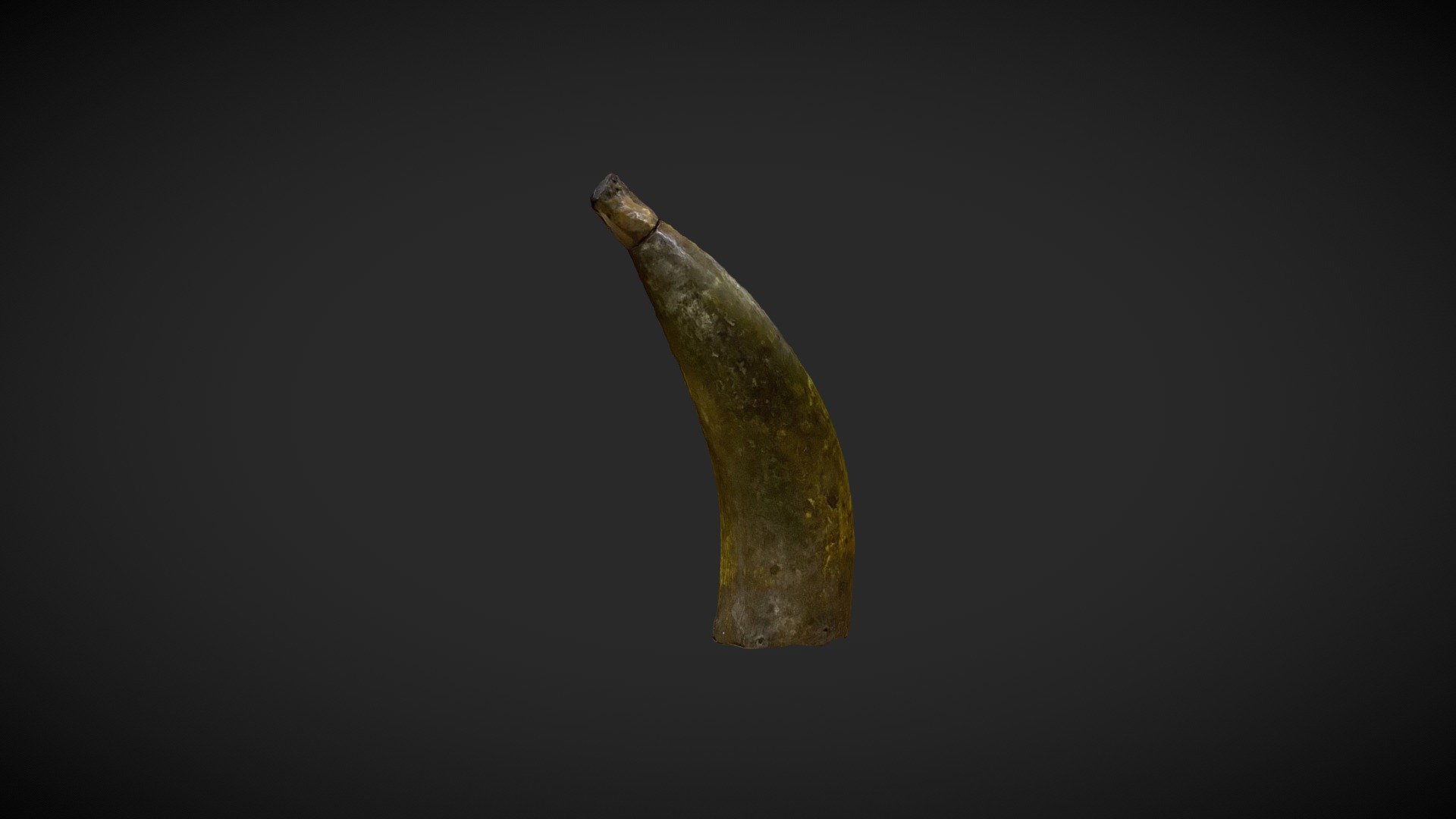 Cuphat071w - Gunpowder Flask - Download Free 3D model by CUPHAT ...