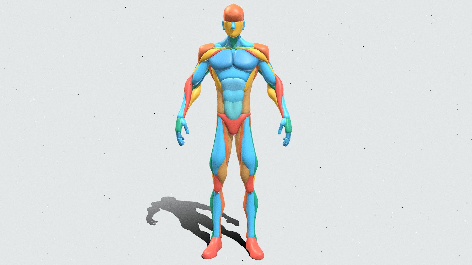Base Mesh Pack - Male Anatomy Blockout - Download Free 3D model by ...