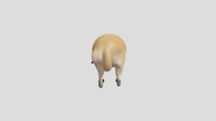 Lab1_ Mak M 3D Model