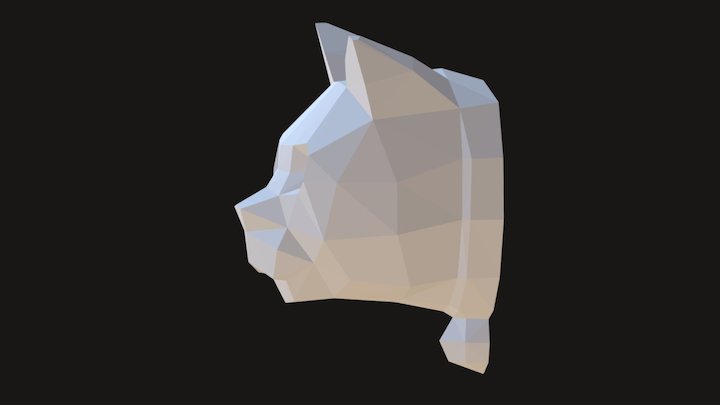 CAT Head 3D Model