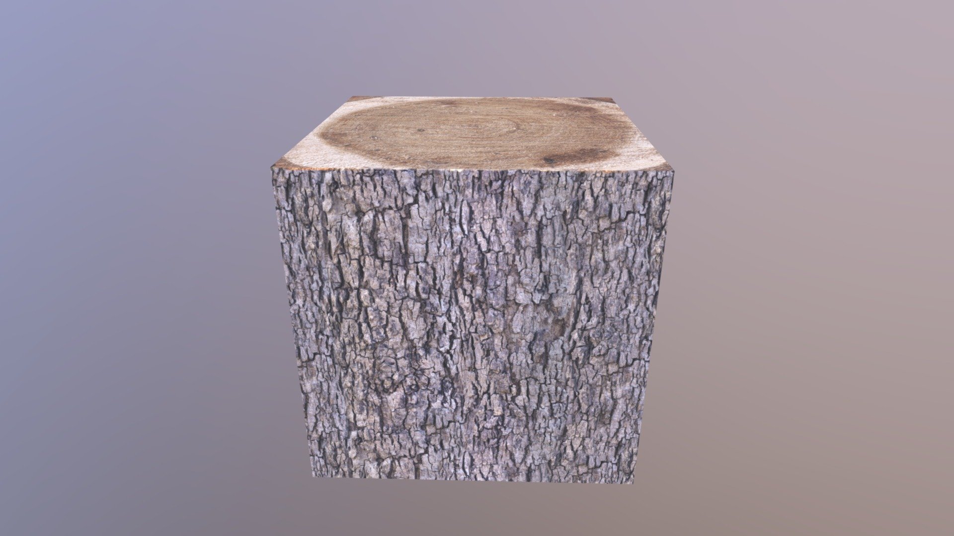Tree Log