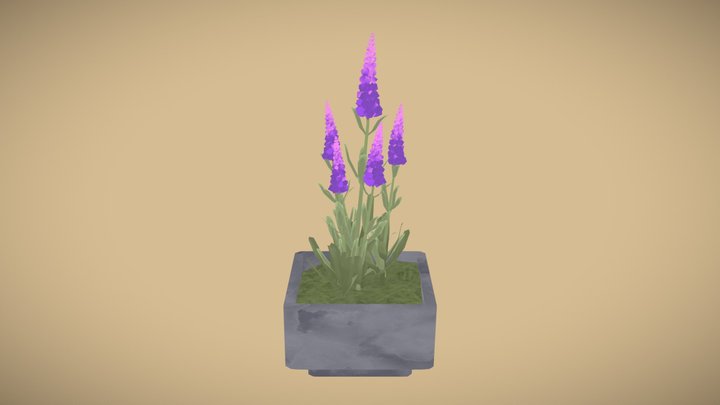 Lavender 3D Model