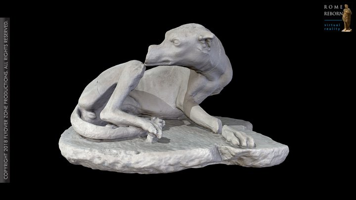 3D rendering of Dog Licking Wound