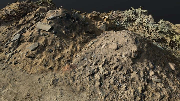 ag_dirtScan_t2_001 test Scan 3D Model