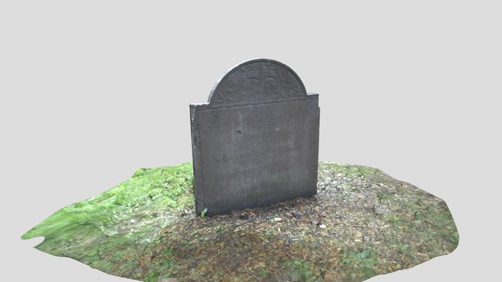 The African's Grave 3D Model