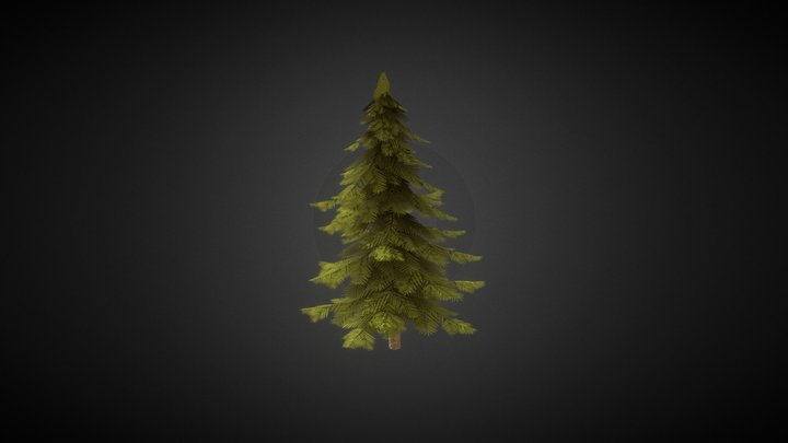 Pine tree 3D Model