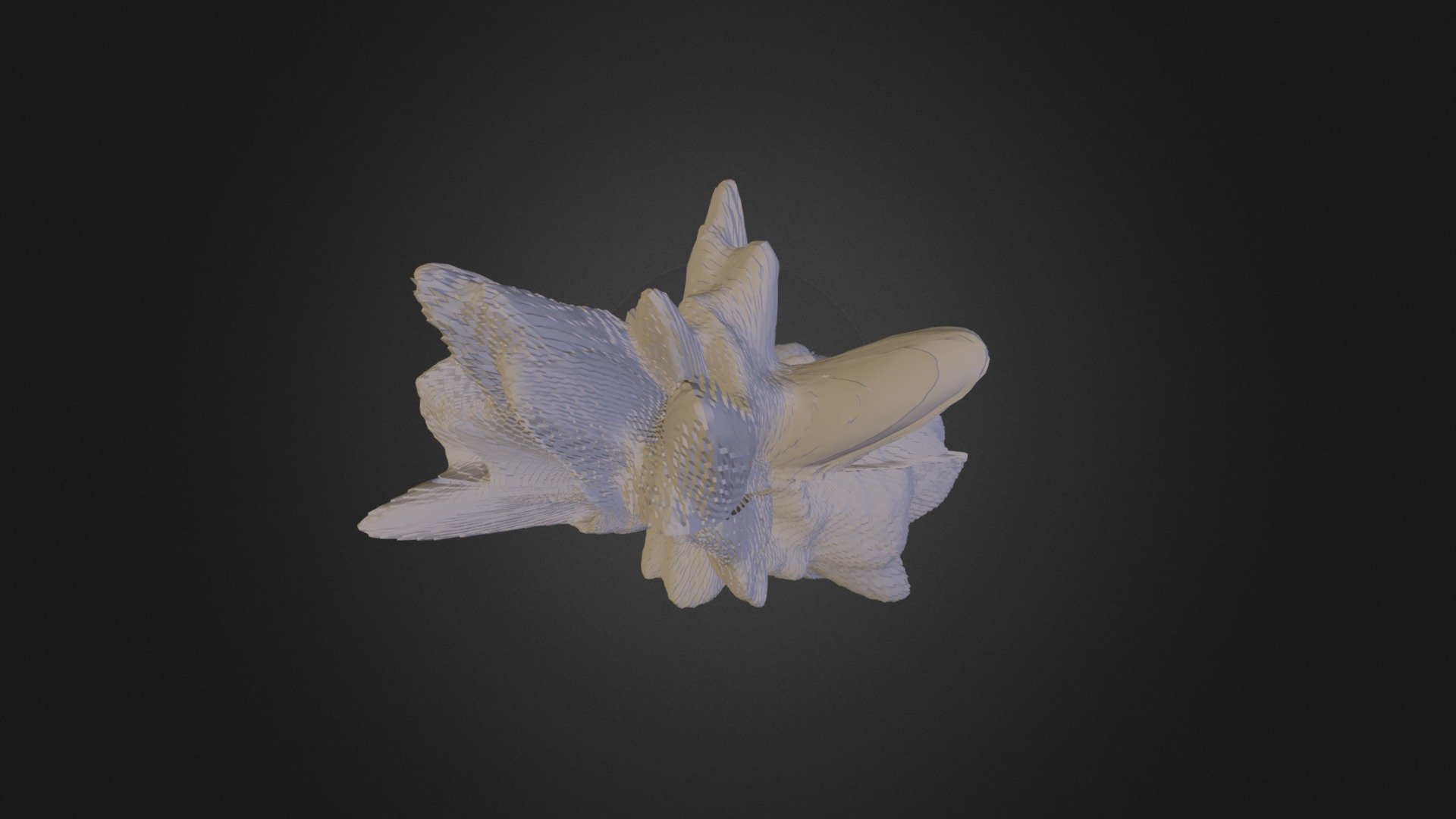 First Model